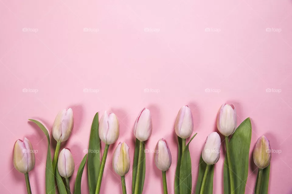Pink(Mission)