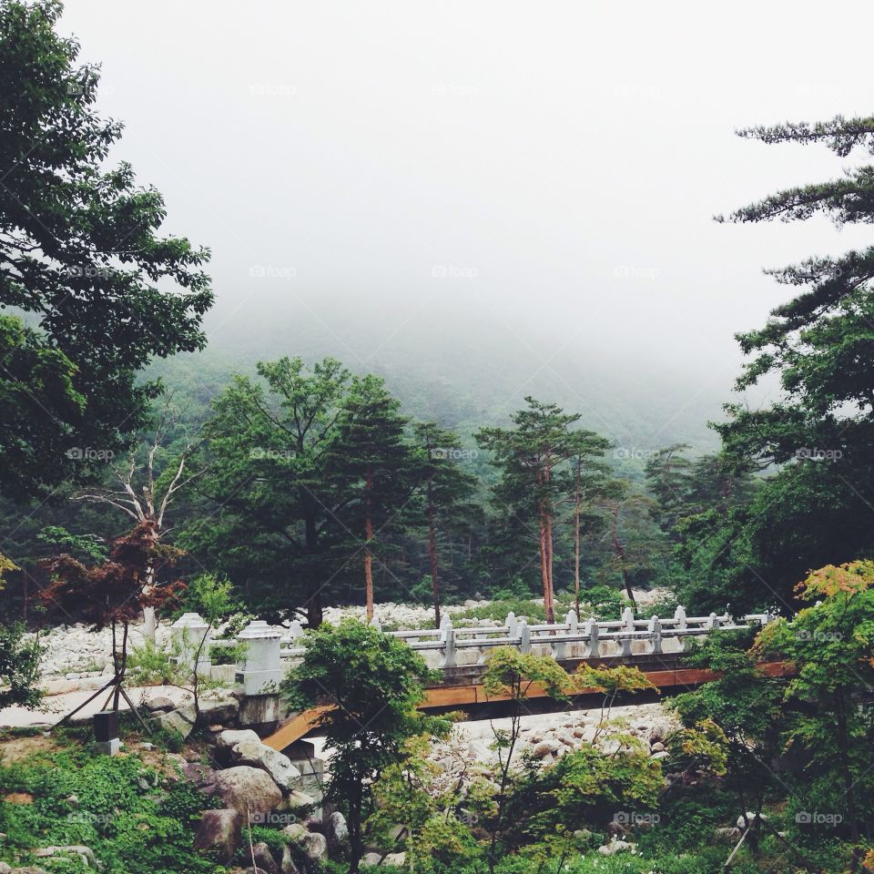 A bridge surrounded by nature in Mount Seorak National Park, South Korea.