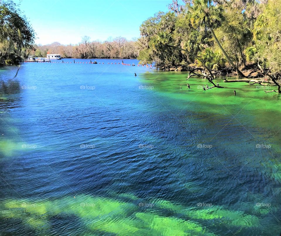 Florida Lake