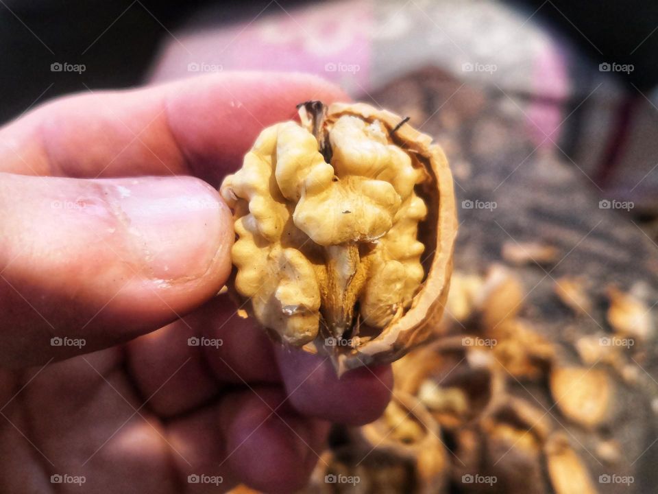 Walnut kernels