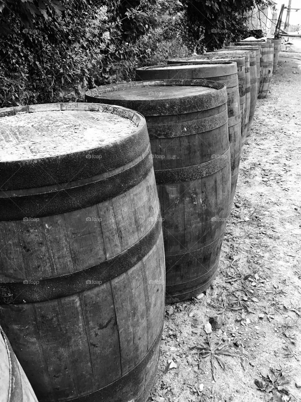 Barrel line up