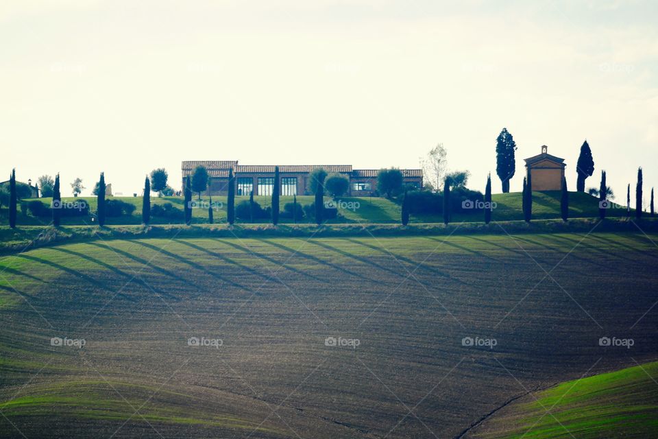 Sunlight games in the hills of Tuscany