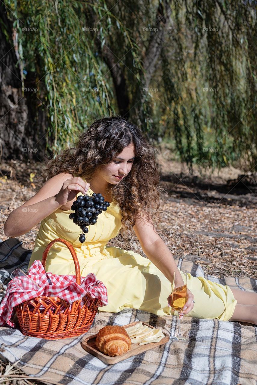 picnic in the park