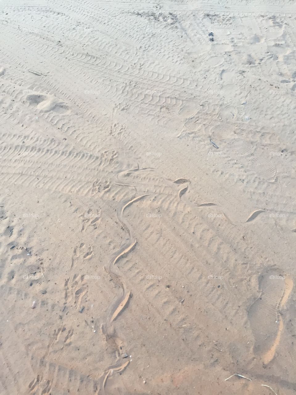 Footprint, Sand, No Person, Trace, Footstep