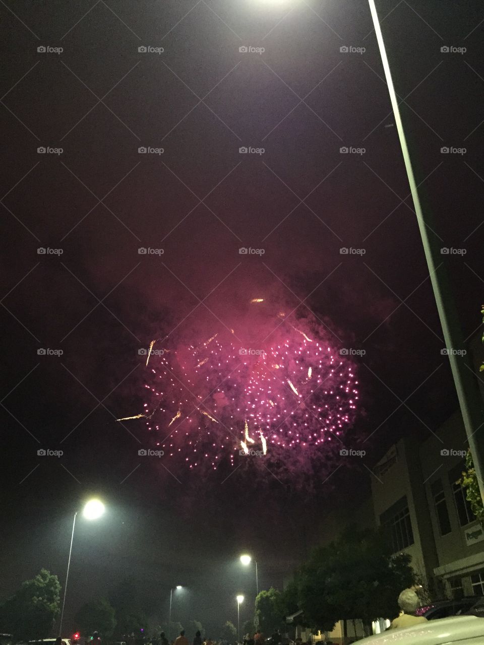 Pink firework 