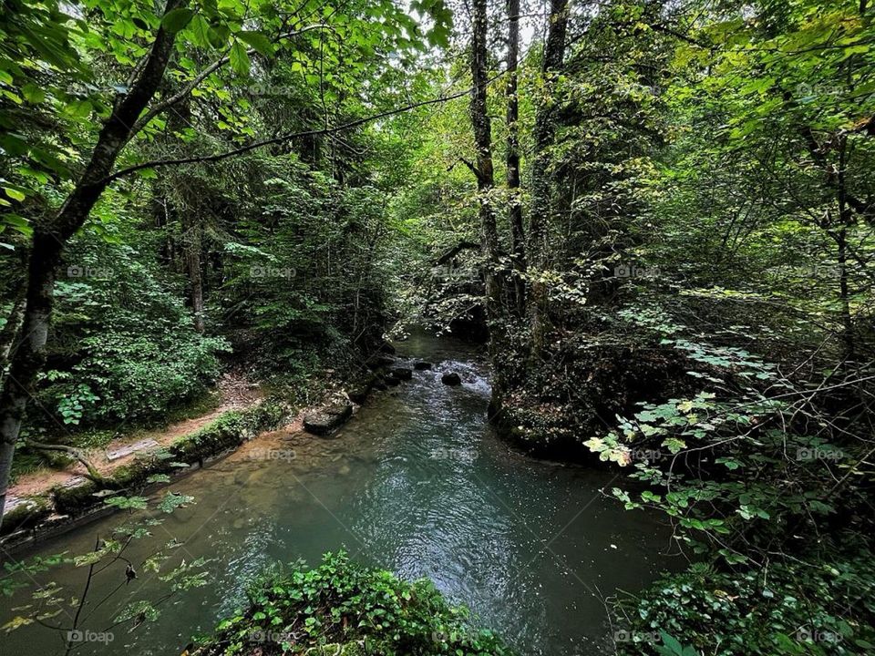 River view in the nature.
