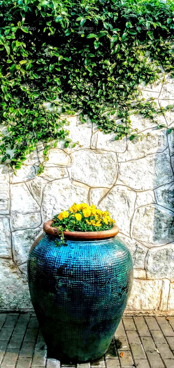 Beautiful planter, flowers, limestone wall and vine
