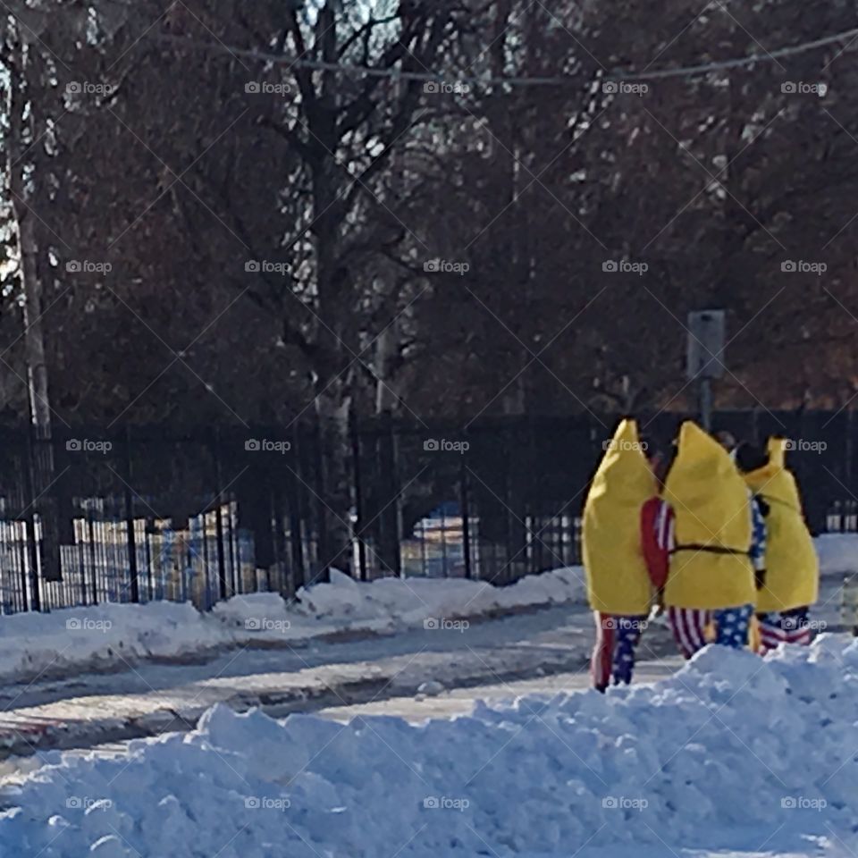 Bananas 🍌 Iditarod 