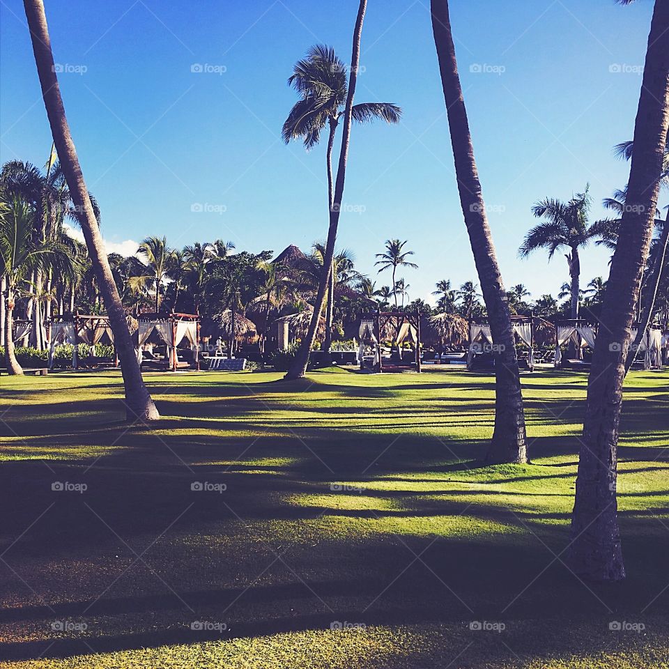 Tree, Landscape, Competition, Beach, People