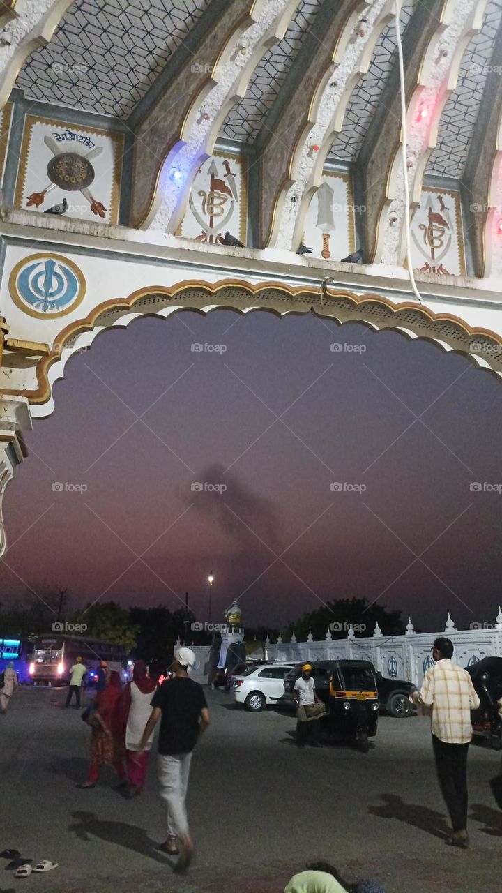 pigeons sitting with their life partner waiting for humans to move from their place