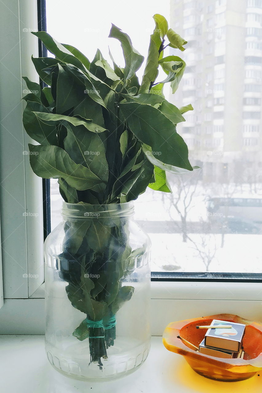 a bouquet of bay leaves in a jar and a box of matches in an ashtray on the windowsill