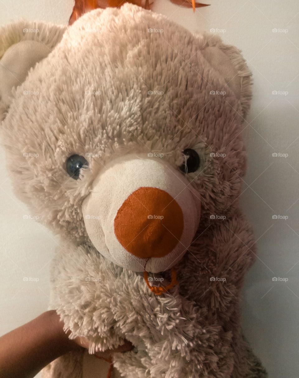 A naughty teddy tied up 🧸❤️!!!