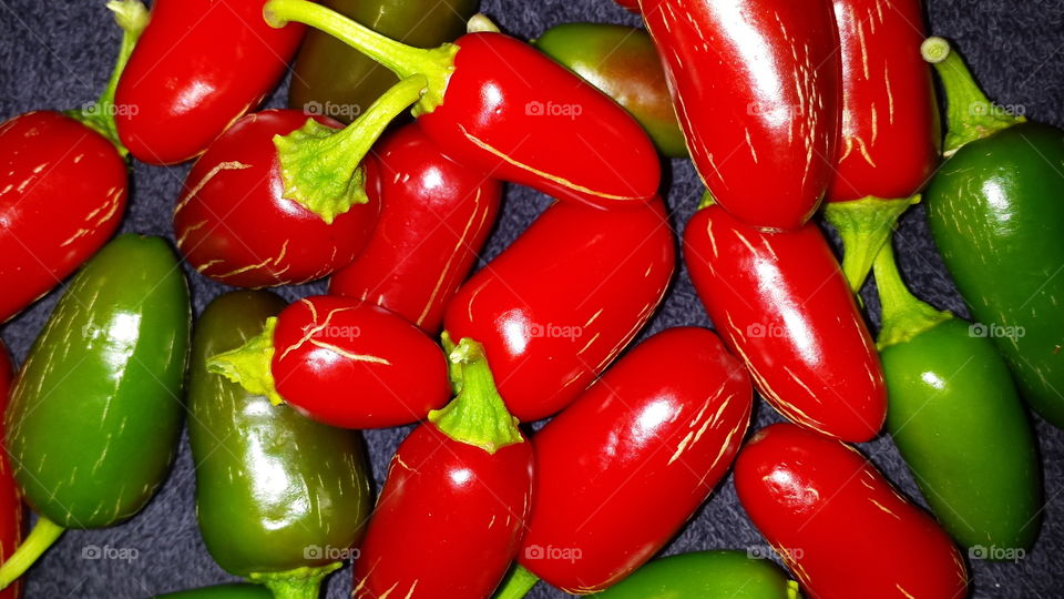 colorful peppers