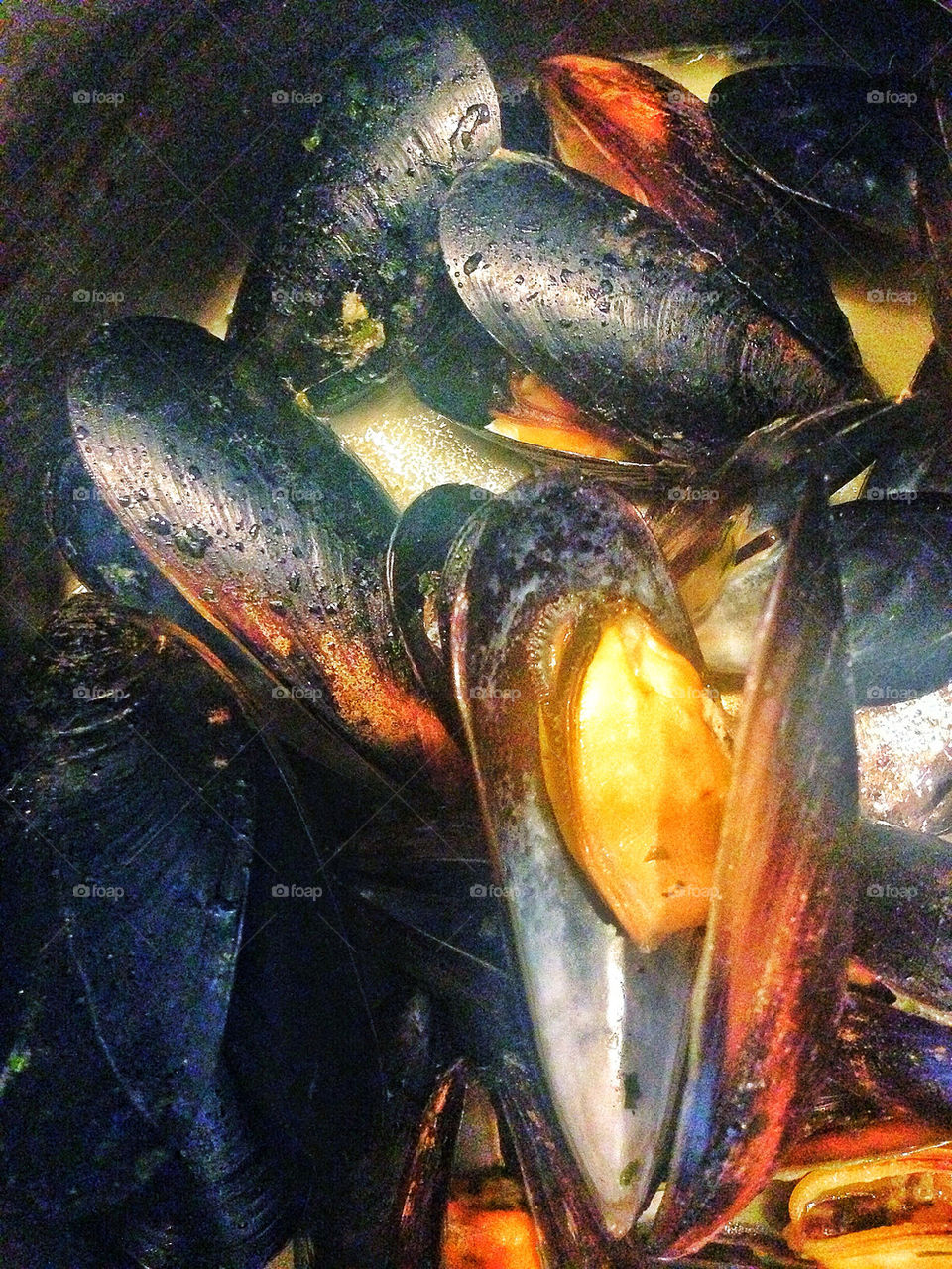 Mussels steamed in a pot