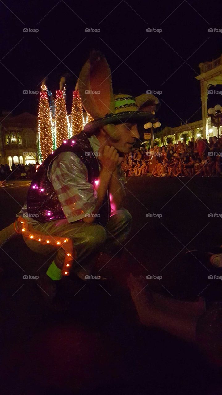 electrical parade