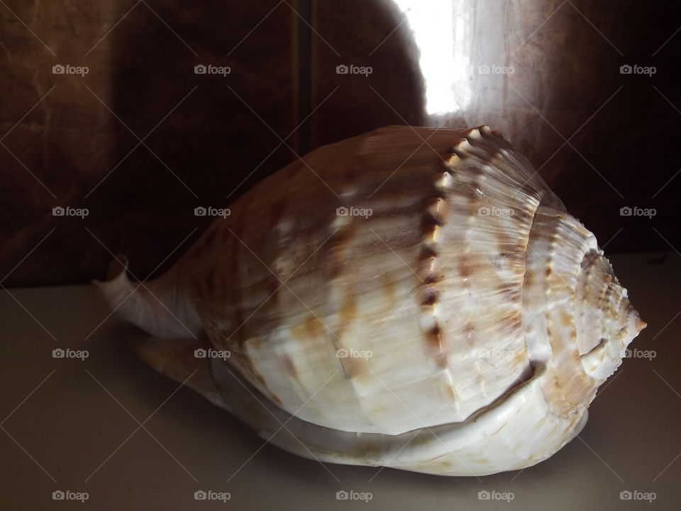 warm countries sinks