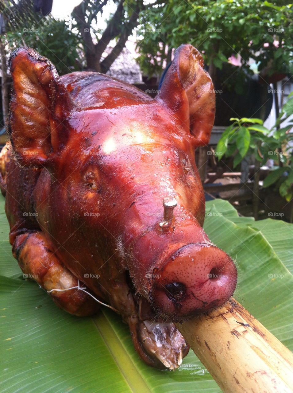 food pig philippines yum by skyler