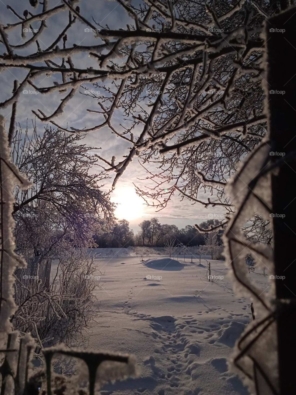 Upload your photo of