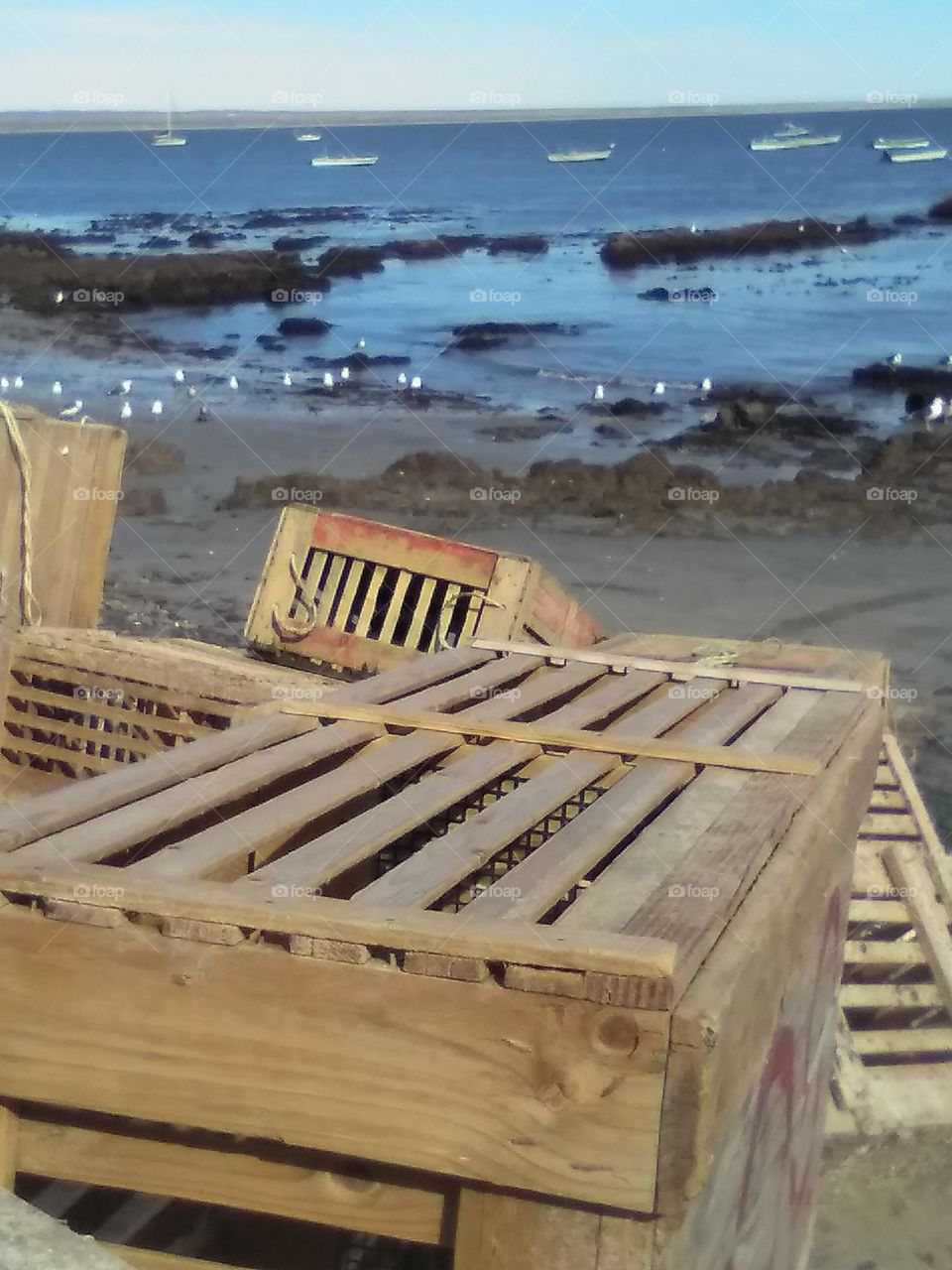 Lobster Traps & The Sea