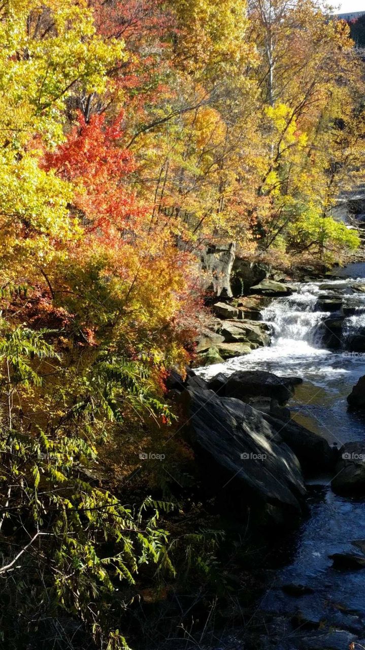 the Rocky River in autumn