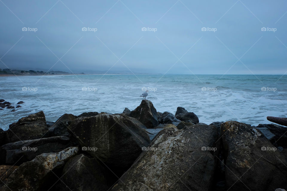 Dark and rocky coast, sea gull perched on a rock in distance