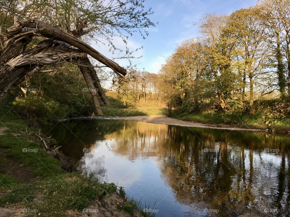 Springtime at my local riverbank ... devastation after the floods still visible ... unkempt trees left to deteriorate ... but still pretty this evening ... just missed the heron flying away as I took this shot.