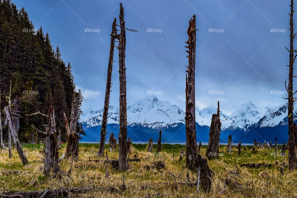 A short hike outside of Seward, Alaska to get to this beautiful view of the mountains over Resurrection Bay