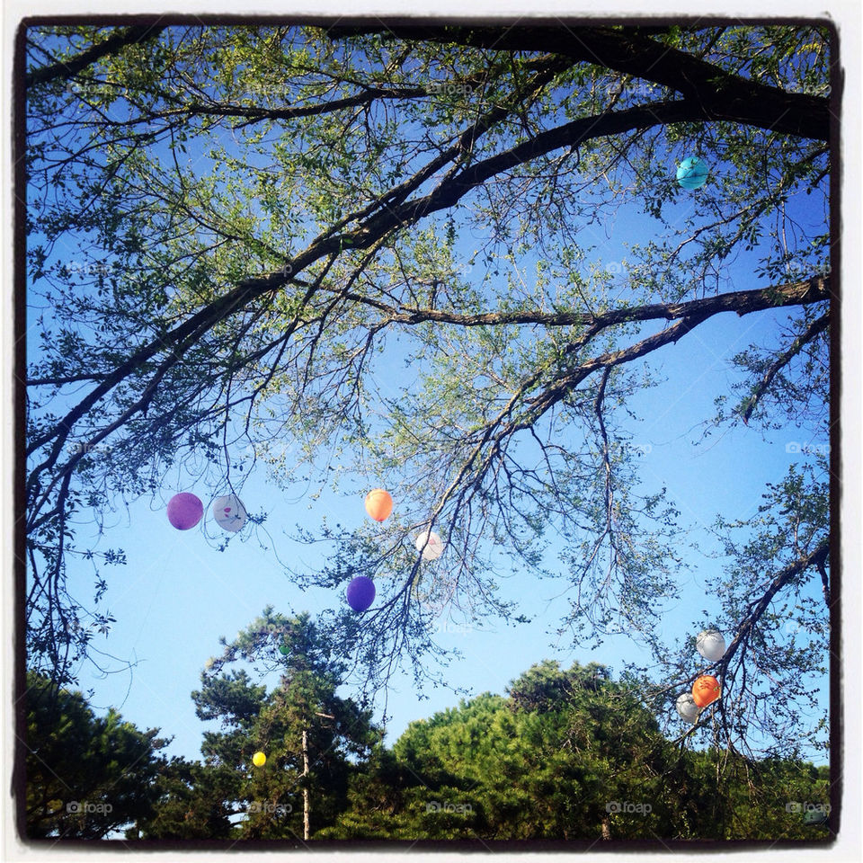 italy heaven tree kids by clelia