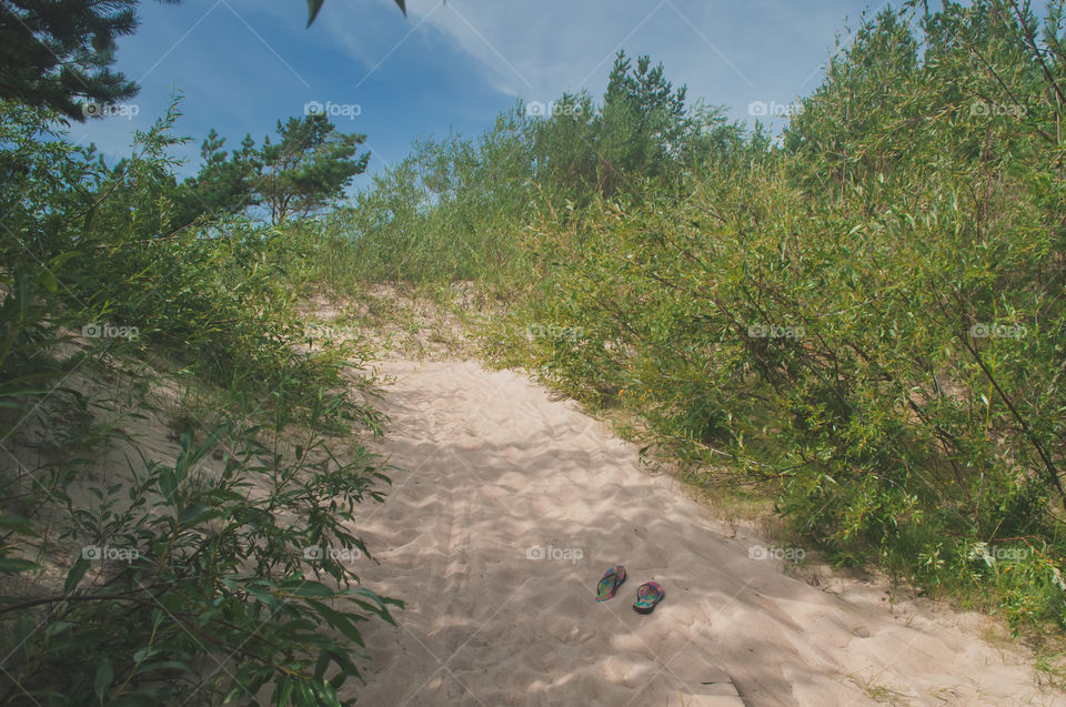 No Person, Water, Landscape, Tree, Nature