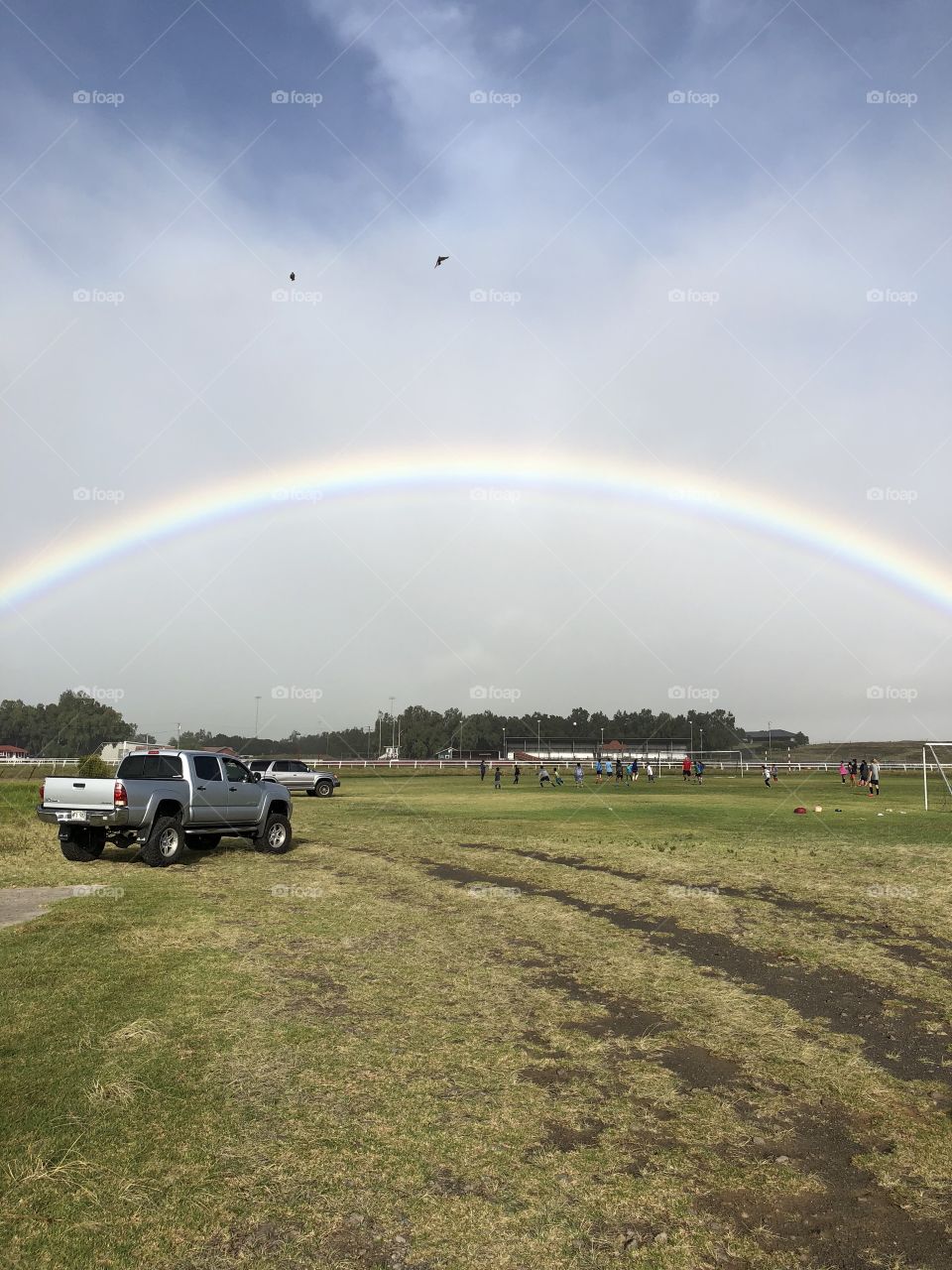 Rainbow in a Hawaiian field