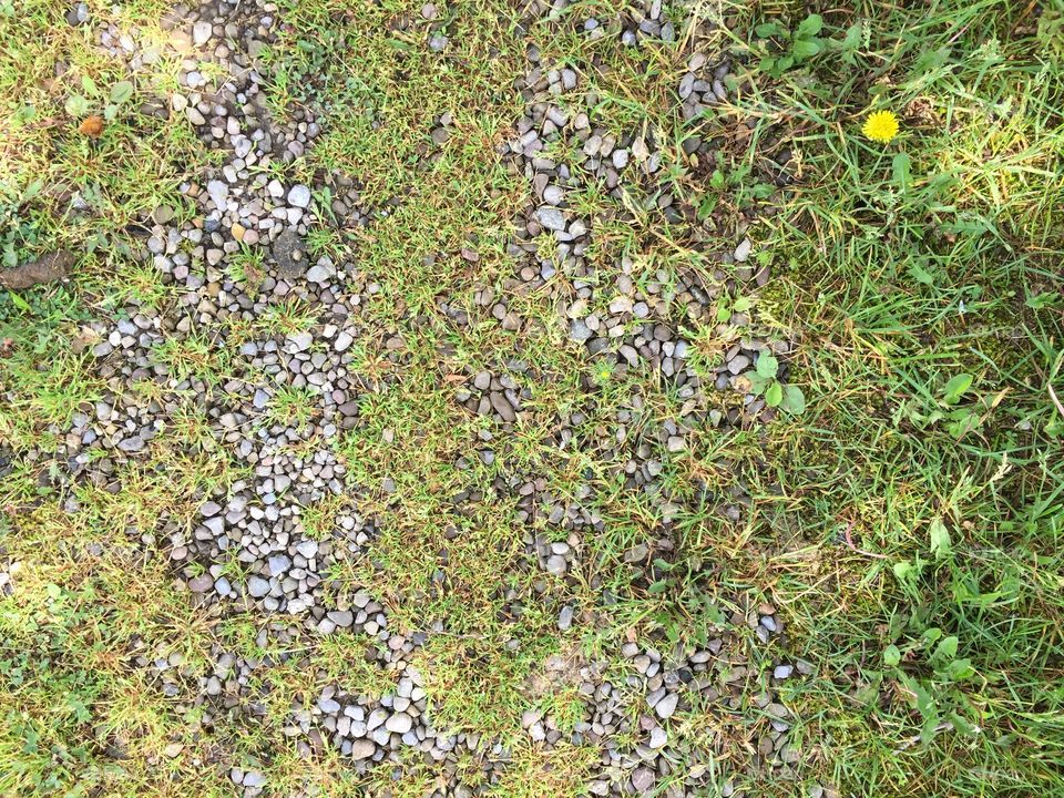 Creative textures 
Pebbled path 
Meridian Park 