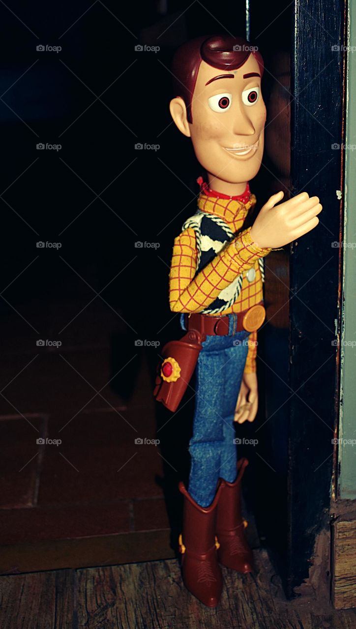 Photo session with Woody