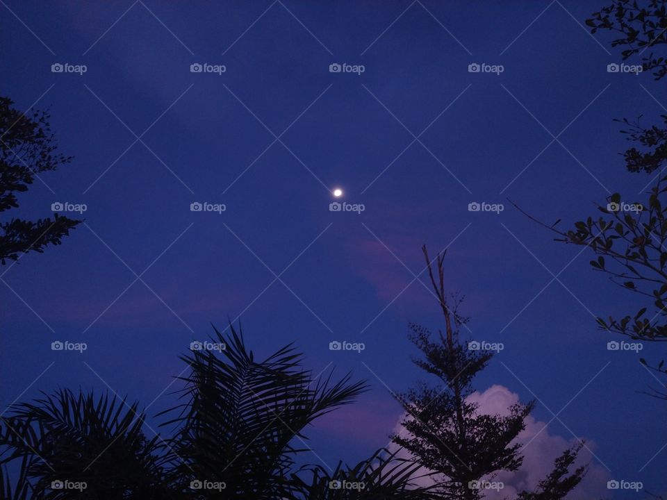 moon light with clear sky.