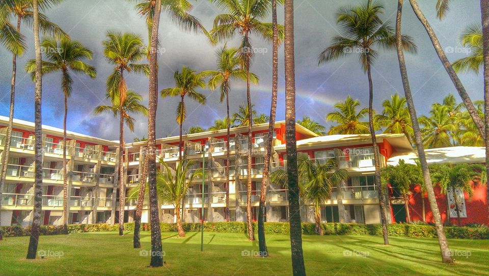 Palm, Hotel, Tree, Resort, Travel