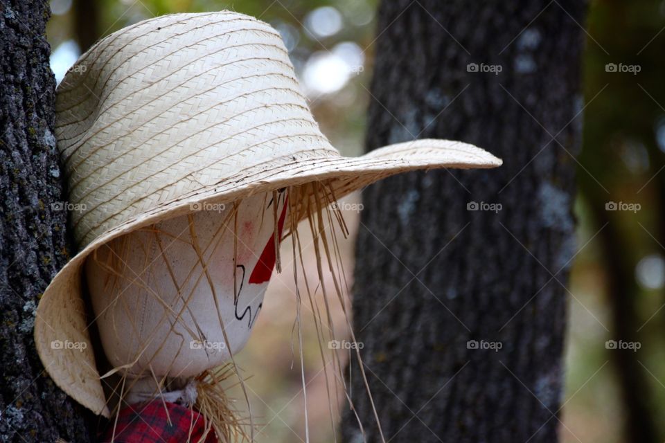 Scarecrow Decor 