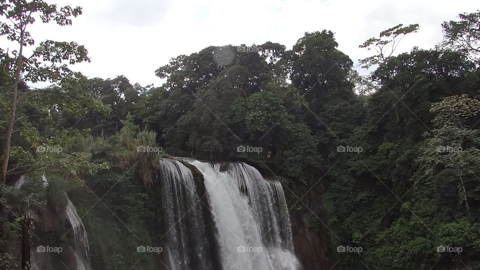 Pulhapanzak Honduras canopy