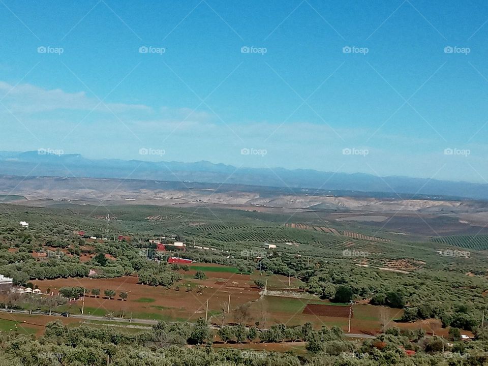 The best of nature 2021