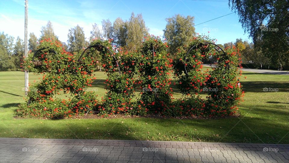 Waiting wor autumn in 2019