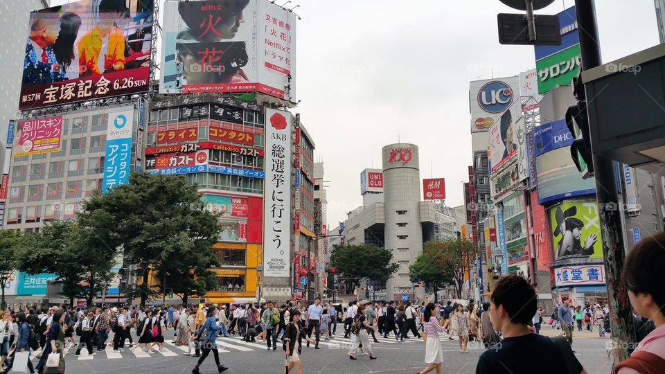 Shibuya Crossing