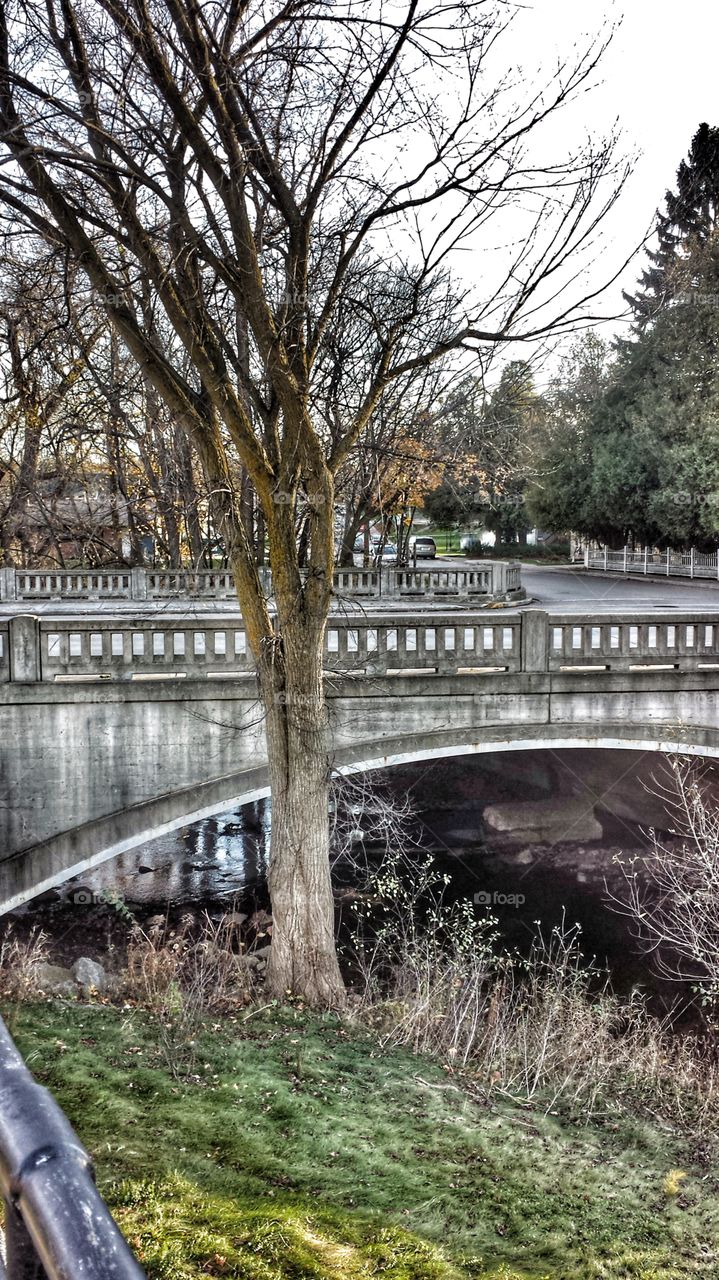 Bridge Over Creek