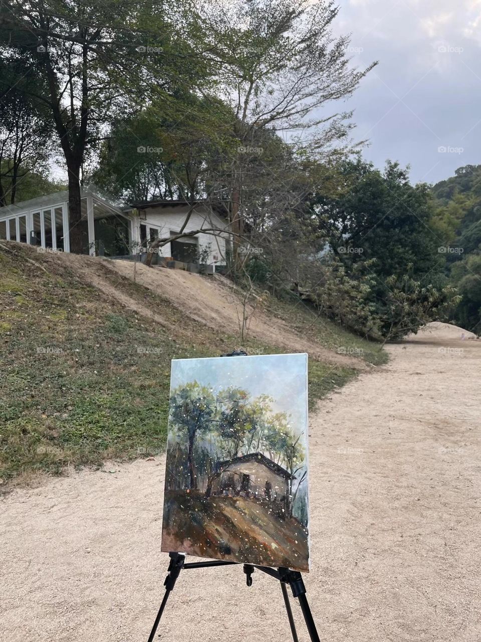 Pictures in a Pictures