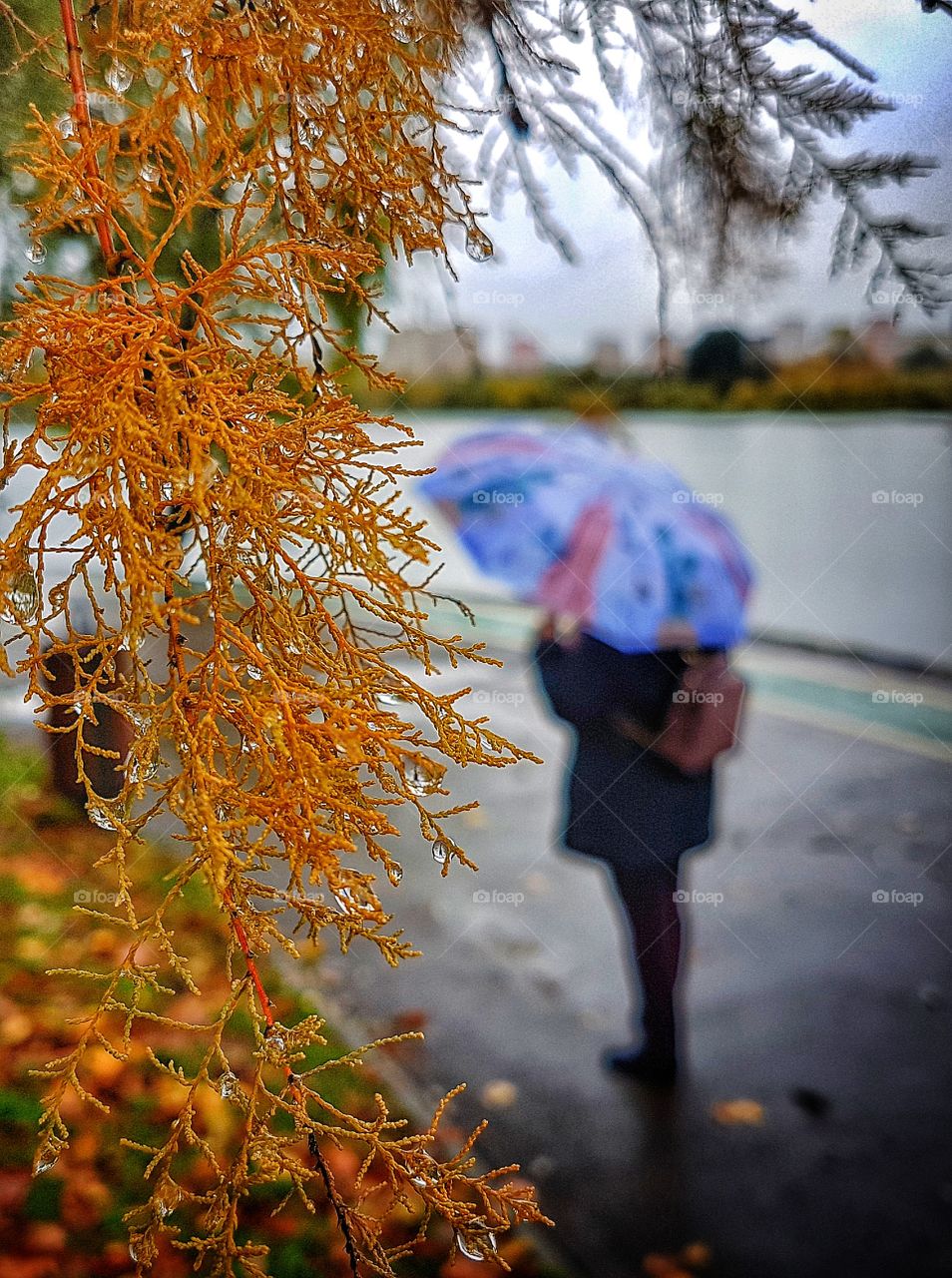 Autumn walk in the Park.