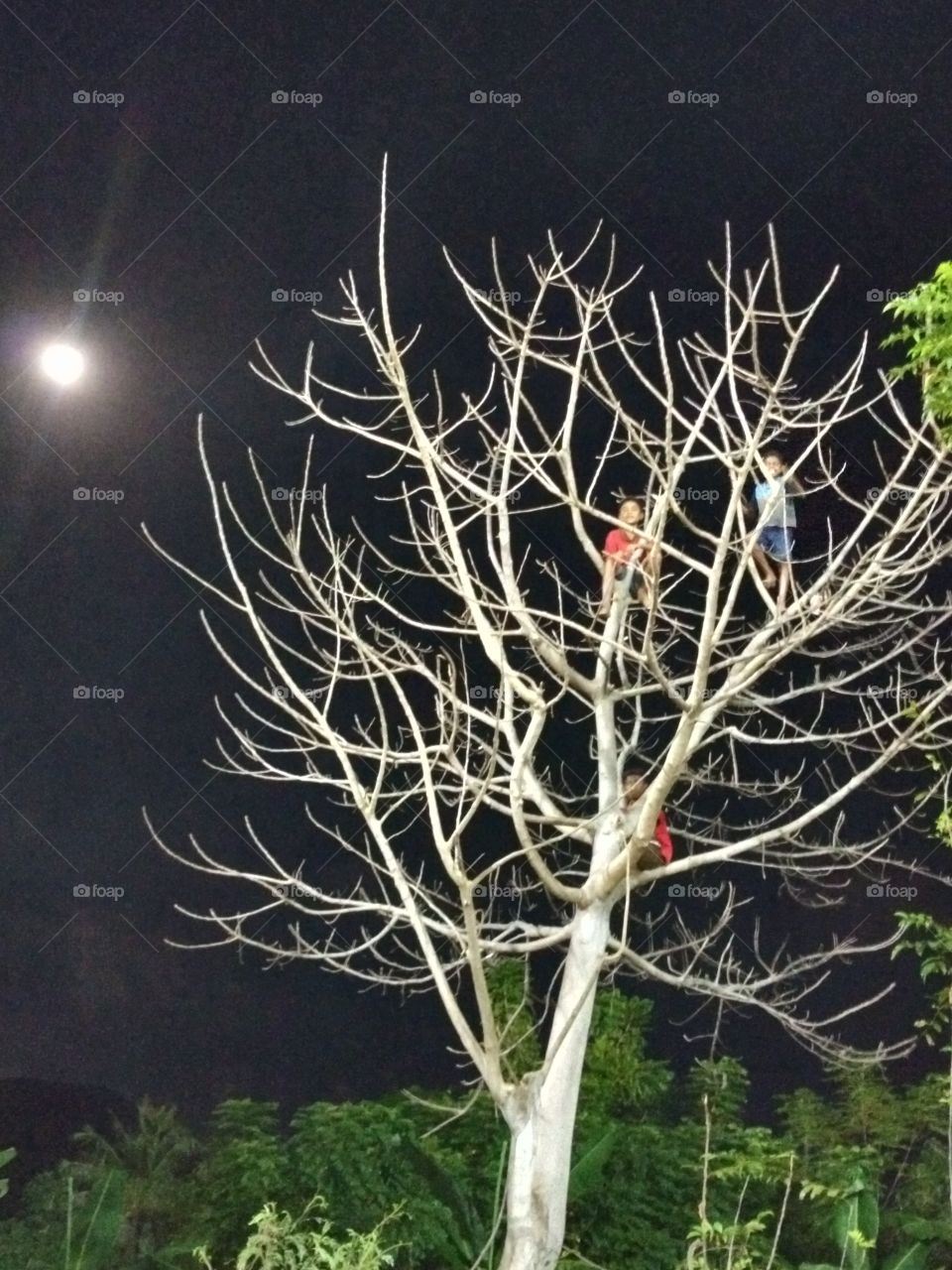 If you don't have ticket to watch football match, use the tree around the stadium 😂