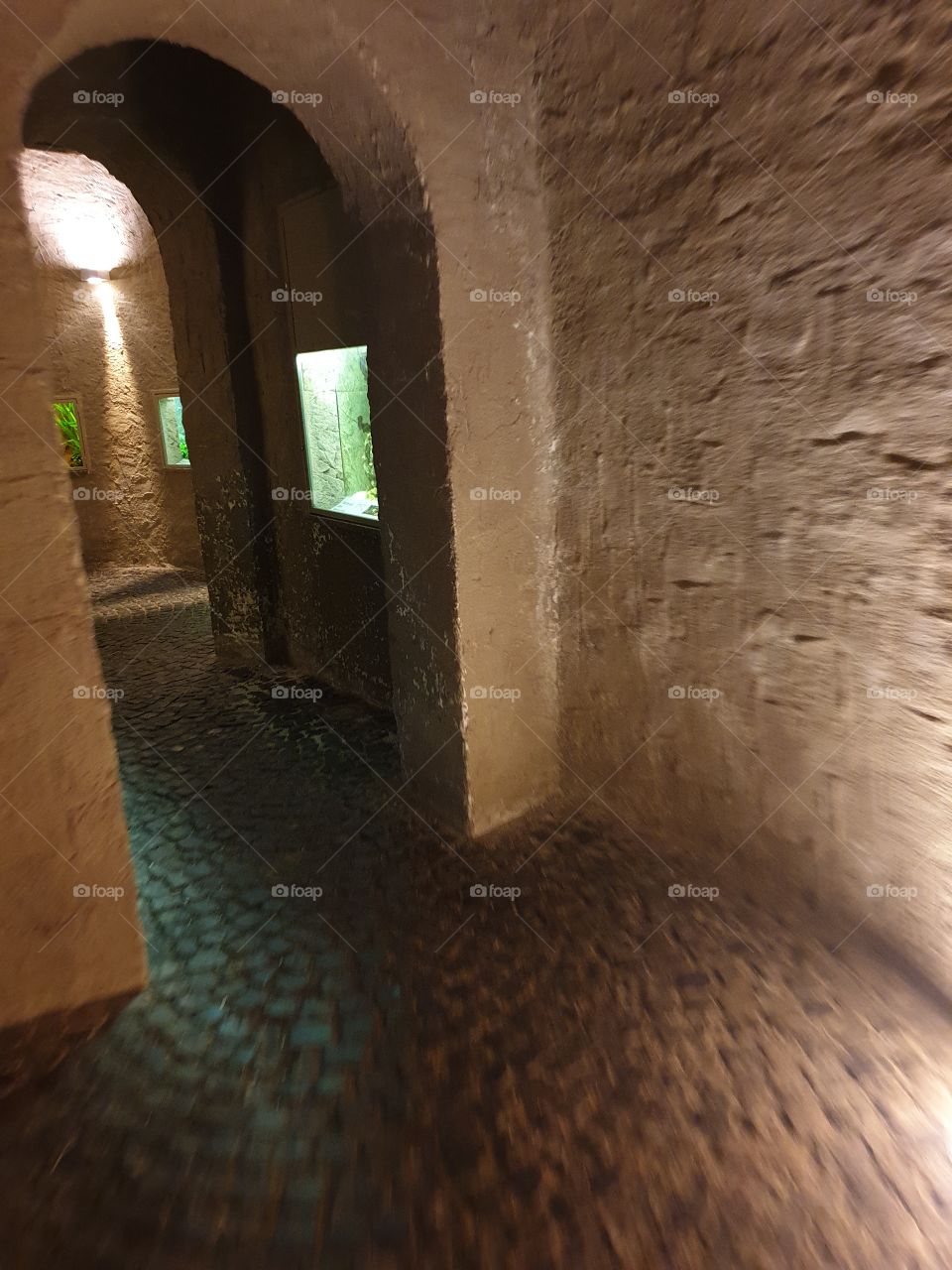 Palmengarten Frankfurt