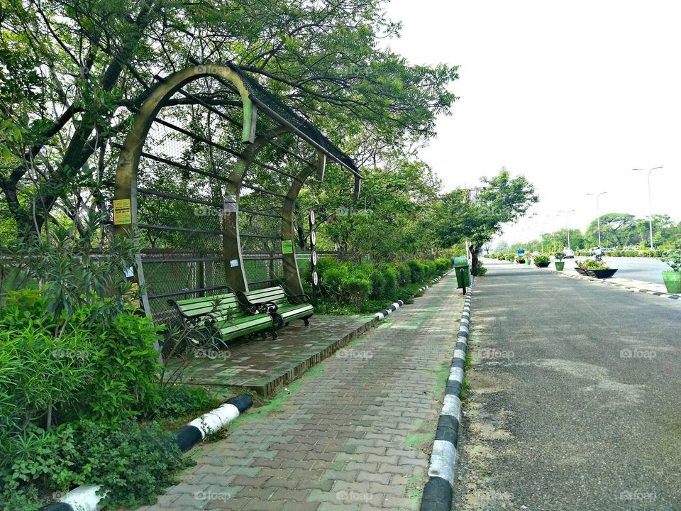 Guidance, Tree, Road, Park, Bridge