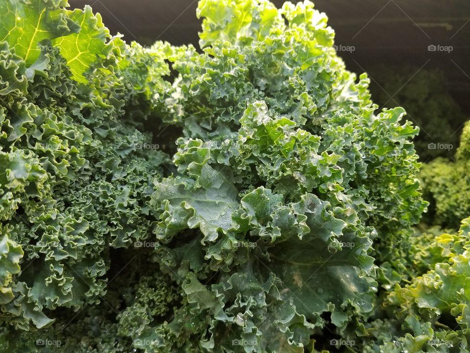 kale