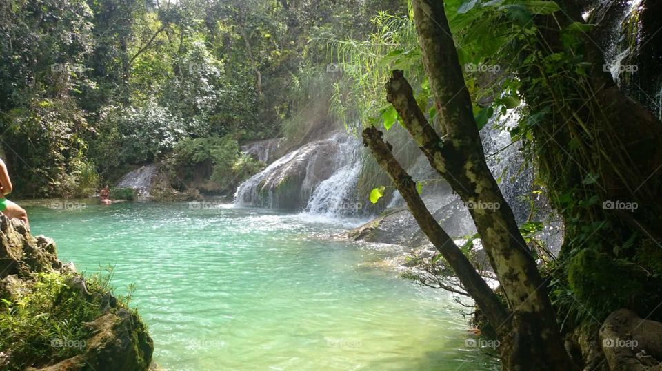 lake#waterfalls#nature#woods#trees