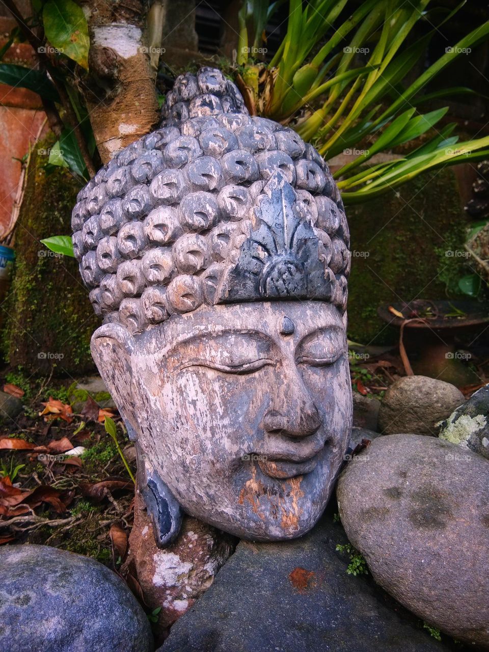 buddha statue