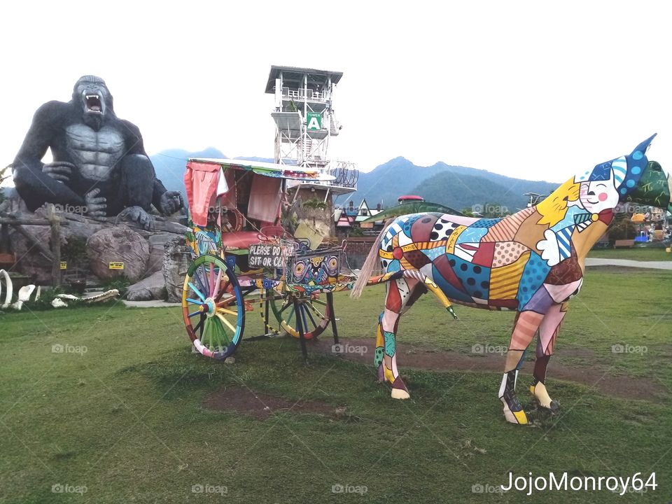 A View from the Park