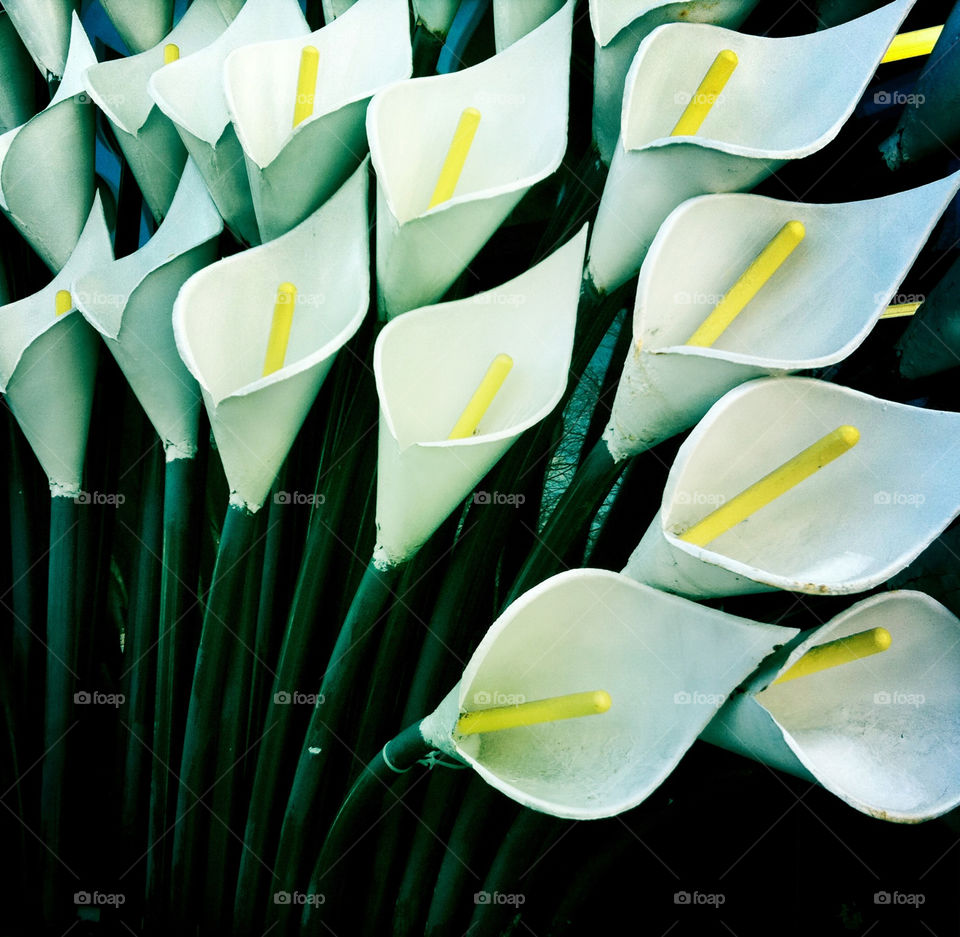 flowers white iron bent by meredithk